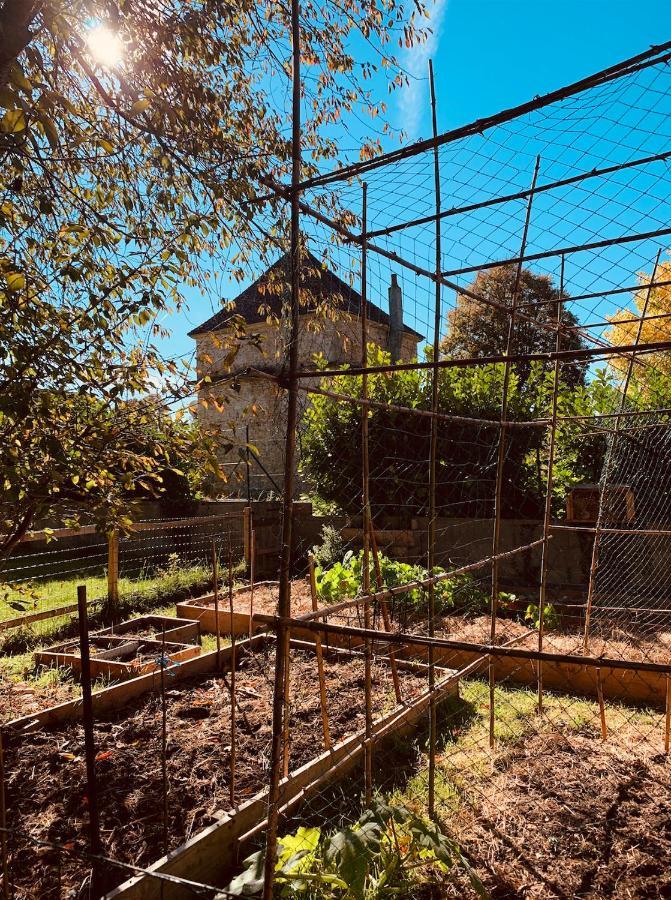 Pool House-L'Hirondelle De Sermizelles- Grand Jardin, Calme Et Nature Aux Portes Du Morvan エクステリア 写真