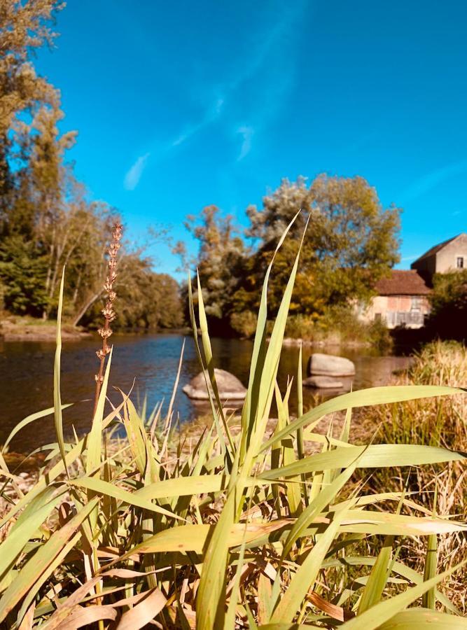 Pool House-L'Hirondelle De Sermizelles- Grand Jardin, Calme Et Nature Aux Portes Du Morvan エクステリア 写真