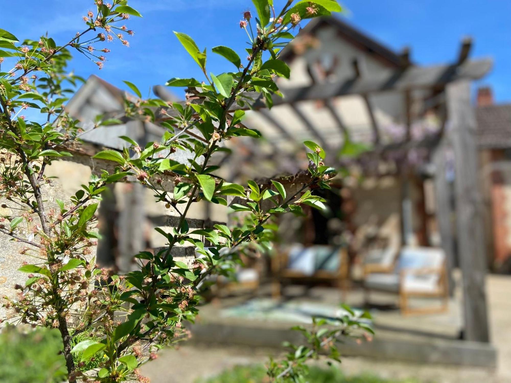 Pool House-L'Hirondelle De Sermizelles- Grand Jardin, Calme Et Nature Aux Portes Du Morvan エクステリア 写真